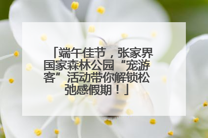 端午佳节，张家界国家森林公园“宠游客”活动带你解锁松弛感假期！