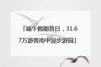 端午假期首日，31.67万游客雨中漫步游园