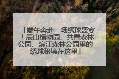 端午奔赴一场绣球盛宴！辰山植物园、共青森林公园、滨江森林公园里的绣球秘境在这里