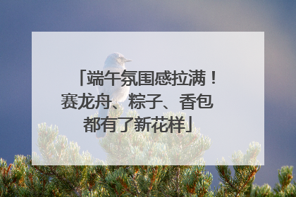 端午氛围感拉满！赛龙舟、粽子、香包都有了新花样