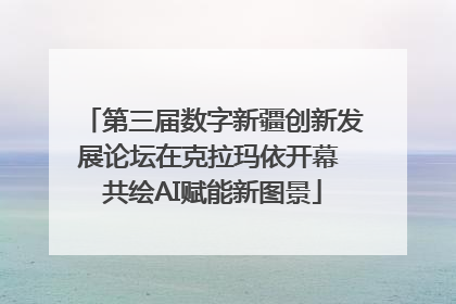 第三届数字新疆创新发展论坛在克拉玛依开幕 共绘AI赋能新图景