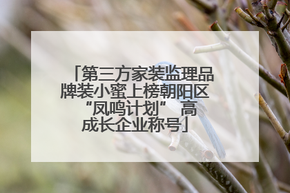 第三方家装监理品牌装小蜜上榜朝阳区 “凤鸣计划” 高成长企业称号