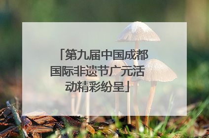 第九届中国成都国际非遗节广元活动精彩纷呈