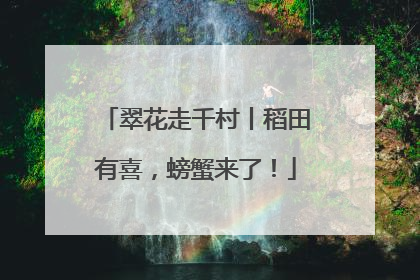 翠花走千村丨稻田有喜，螃蟹来了！
