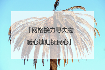 网格接力寻失物 暖心速归抚民心