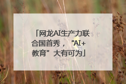 网龙AI生产力联合国首秀，“AI+教育”大有可为