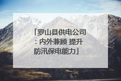 罗山县供电公司：内外兼顾 提升防汛保电能力
