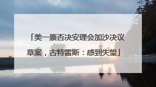 美一票否决安理会加沙决议草案，古特雷斯：感到失望