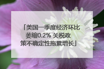 美国一季度经济环比萎缩0.2% 关税政策不确定性拖累增长
