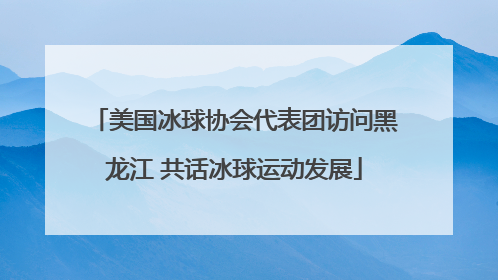 美国冰球协会代表团访问黑龙江 共话冰球运动发展