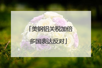 美钢铝关税加倍 多国表达反对