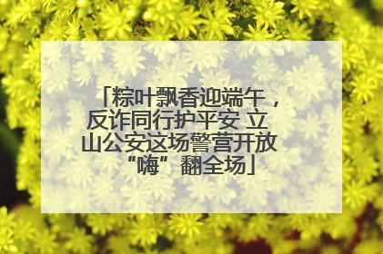 粽叶飘香迎端午，反诈同行护平安 立山公安这场警营开放“嗨”翻全场