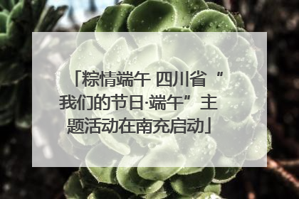 粽情端午 四川省“我们的节日·端午”主题活动在南充启动
