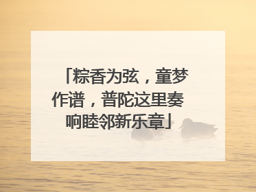 粽香为弦，童梦作谱，普陀这里奏响睦邻新乐章