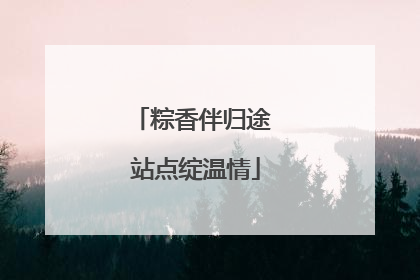 粽香伴归途 站点绽温情