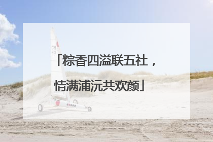 粽香四溢联五社，情满浦沅共欢颜