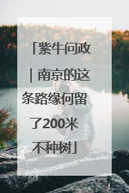 紫牛问政｜南京的这条路缘何留了200米不种树