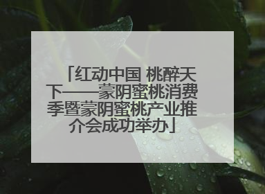 红动中国 桃醉天下——蒙阴蜜桃消费季暨蒙阴蜜桃产业推介会成功举办