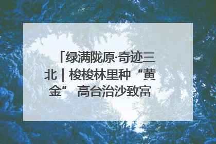 绿满陇原·奇迹三北｜梭梭林里种“黄金” 高台治沙致富很“从容”
