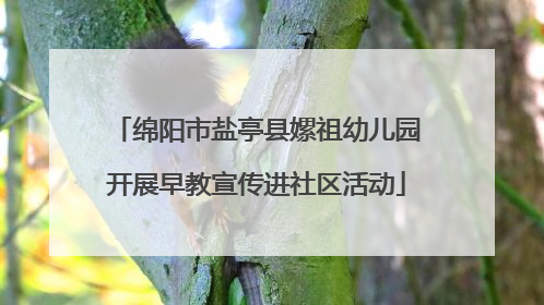 绵阳市盐亭县嫘祖幼儿园开展早教宣传进社区活动