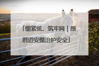 绷紧弦、筑牢网｜颜厝道安整治护安全