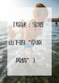 综述：宝塔山下的“草原风情”