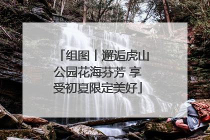 组图丨邂逅虎山公园花海芬芳 享受初夏限定美好