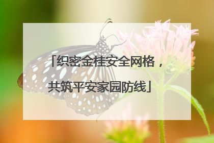 织密金桂安全网格，共筑平安家园防线