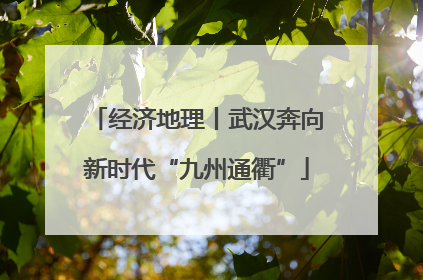 经济地理丨武汉奔向新时代“九州通衢”