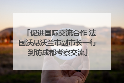 促进国际交流合作 法国沃昂沃兰市副市长一行到访成都考察交流