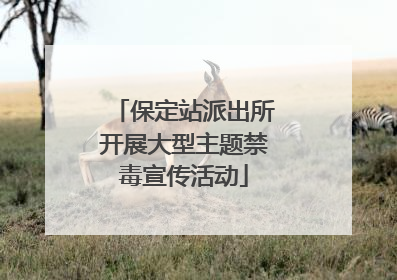 保定站派出所开展大型主题禁毒宣传活动