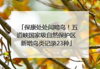 保康处处闻啼鸟！五道峡国家级自然保护区新增鸟类记录23种
