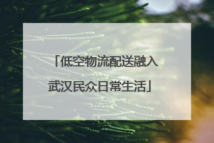 低空物流配送融入武汉民众日常生活