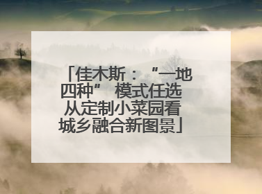 佳木斯：“一地四种” 模式任选 从定制小菜园看城乡融合新图景