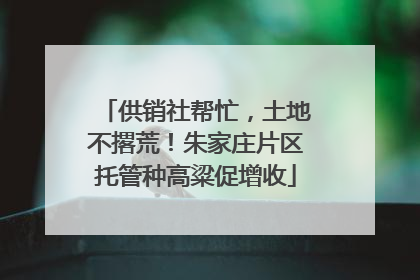供销社帮忙，土地不撂荒！朱家庄片区托管种高粱促增收