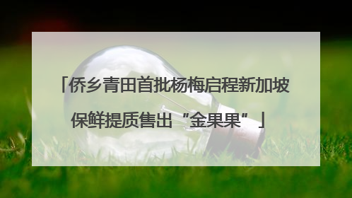 侨乡青田首批杨梅启程新加坡 保鲜提质售出“金果果”