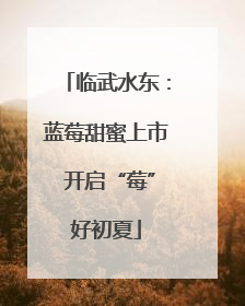 临武水东：蓝莓甜蜜上市 开启“莓”好初夏
