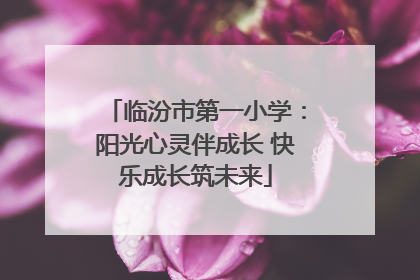 临汾市第一小学：阳光心灵伴成长 快乐成长筑未来