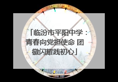 临汾市平阳中学：青春向党担使命 团徽闪耀践初心