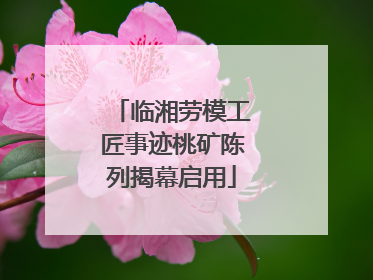 临湘劳模工匠事迹桃矿陈列揭幕启用