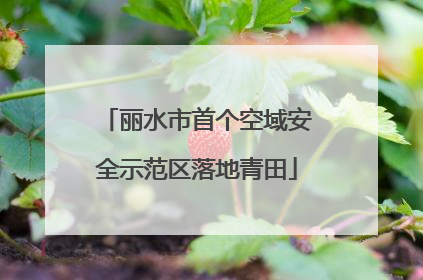 丽水市首个空域安全示范区落地青田
