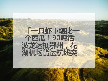 一只虾重堪比一个西瓜！90吨活波龙运抵鄂州，花湖机场货运航线突破100条