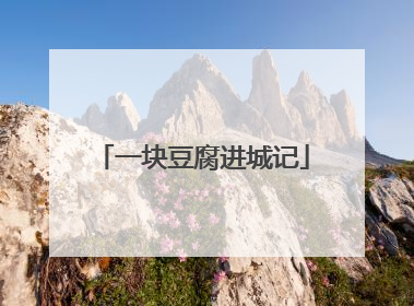 一块豆腐进城记