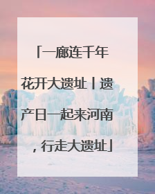 一廊连千年 花开大遗址丨遗产日一起来河南，行走大遗址