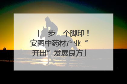 一步一个脚印！安图中药材产业“开出”发展良方