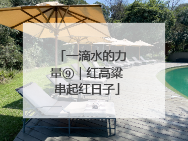 一滴水的力量⑨｜红高粱串起红日子