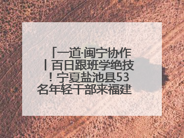 一道·闽宁协作丨百日跟班学绝技！宁夏盐池县53名年轻干部来福建取“真经”