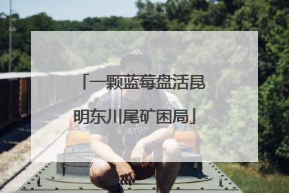 一颗蓝莓盘活昆明东川尾矿困局