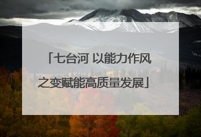 七台河 以能力作风之变赋能高质量发展