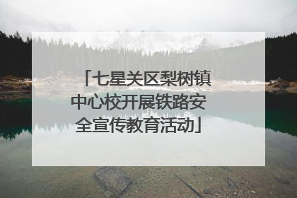 七星关区梨树镇中心校开展铁路安全宣传教育活动